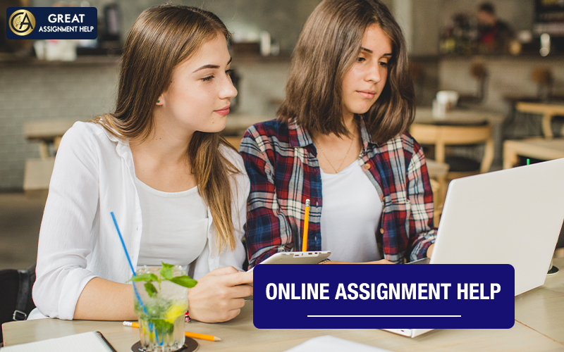 Assignment Help