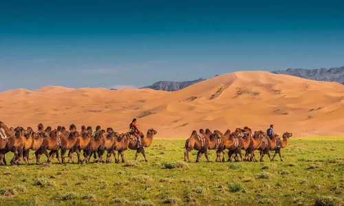 Best Mongolia Tours & Holidays 2022