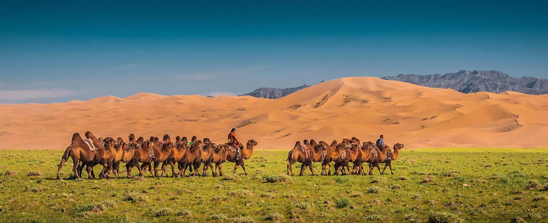 travelling to Mongolia