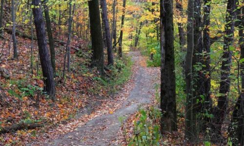 Top 8 Most Breathtaking Hiking Trails in Pennsylvania