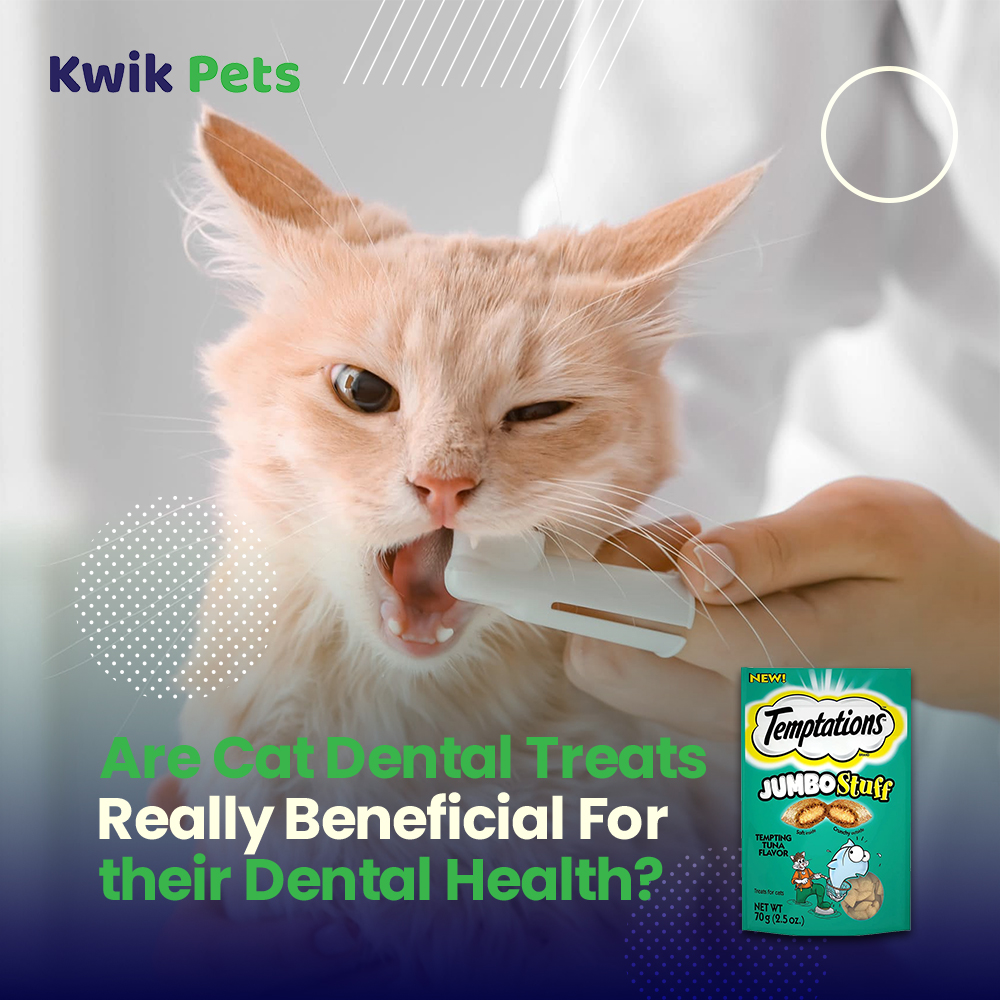 Cat Dental Treats