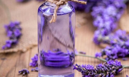Benefits And Uses Of Lavender Oil For Glowing Skin